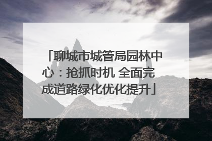 聊城市城管局园林中心：抢抓时机 全面完成道路绿化优化提升