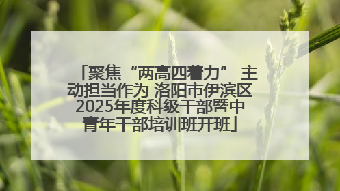 聚焦“两高四着力” 主动担当作为 洛阳市伊滨区2025年度科级干部暨中青年干部培训班开班