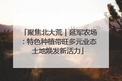 聚焦北大荒｜延军农场：特色种植带旺多元业态 土地焕发新活力