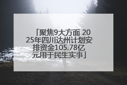 聚焦9大方面 2025年四川达州计划安排资金105.78亿元用于民生实事