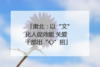 肃北：以“文”化人促效能 关爱干部出“心”招