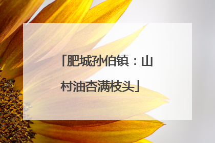 肥城孙伯镇：山村油杏满枝头