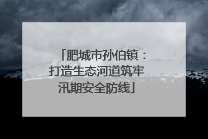 肥城市孙伯镇：打造生态河道筑牢汛期安全防线