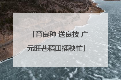 育良种 送良技 广元旺苍稻田插秧忙