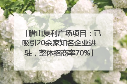 腊山复利广场项目：已吸引20余家知名企业进驻，整体招商率70%