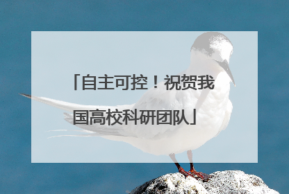 自主可控！祝贺我国高校科研团队