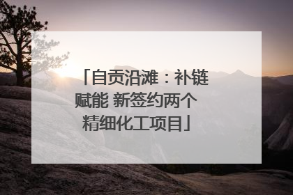 自贡沿滩：补链赋能 新签约两个精细化工项目