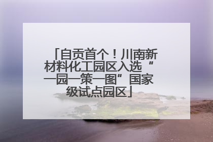 自贡首个！川南新材料化工园区入选“一园一策一图”国家级试点园区