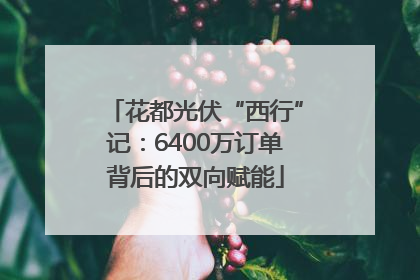 花都光伏“西行”记：6400万订单背后的双向赋能