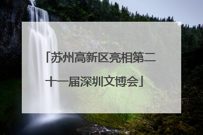 苏州高新区亮相第二十一届深圳文博会