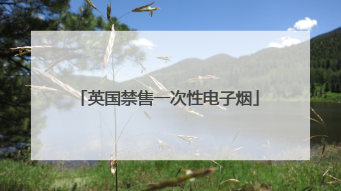 英国禁售一次性电子烟