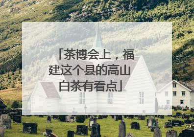 茶博会上，福建这个县的高山白茶有看点