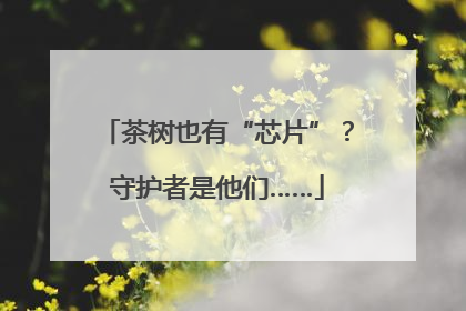 茶树也有“芯片”？守护者是他们……