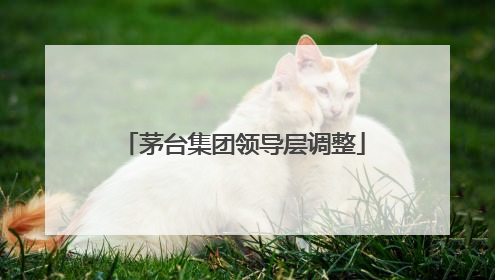 茅台集团领导层调整