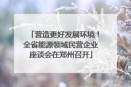营造更好发展环境！全省能源领域民营企业座谈会在郑州召开