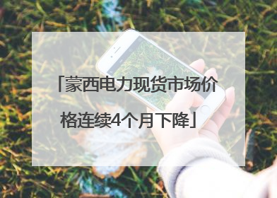 蒙西电力现货市场价格连续4个月下降