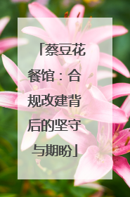 蔡豆花餐馆：合规改建背后的坚守与期盼