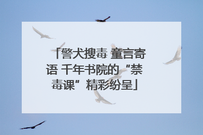 警犬搜毒 童言寄语 千年书院的“禁毒课”精彩纷呈