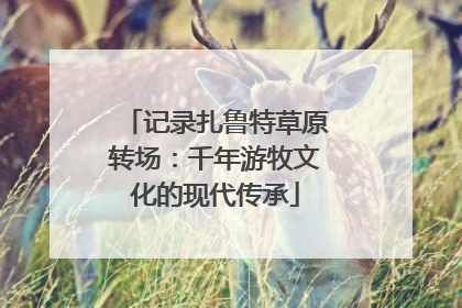 记录扎鲁特草原转场：千年游牧文化的现代传承