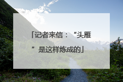 记者来信：“头雁”是这样炼成的