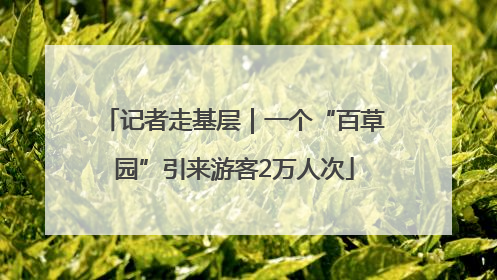 记者走基层｜一个“百草园”引来游客2万人次