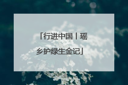 行进中国丨瑶乡护绿生金记