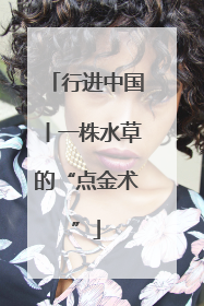 行进中国丨一株水草的“点金术”