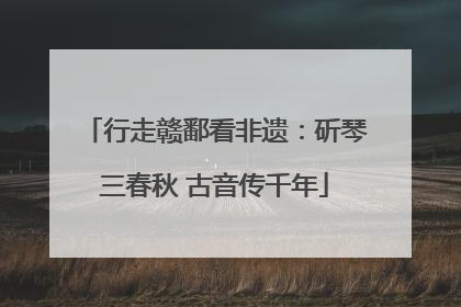 行走赣鄱看非遗：斫琴三春秋 古音传千年