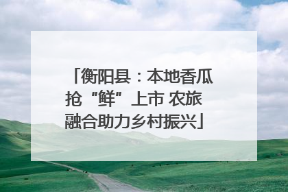 衡阳县：本地香瓜抢“鲜”上市 农旅融合助力乡村振兴