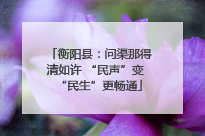 衡阳县：问渠那得清如许 “民声”变“民生”更畅通