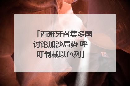 西班牙召集多国讨论加沙局势 呼吁制裁以色列