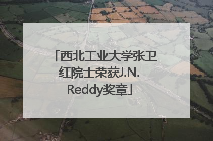 西北工业大学张卫红院士荣获J.N.Reddy奖章