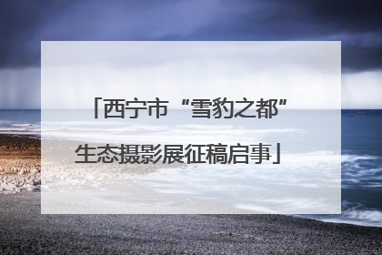 西宁市“雪豹之都”生态摄影展征稿启事