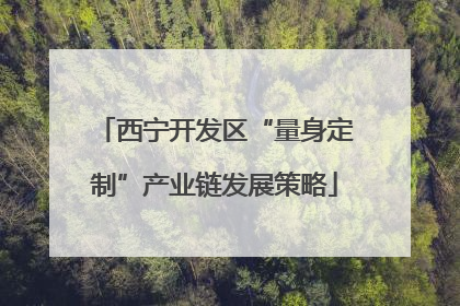 西宁开发区“量身定制”产业链发展策略