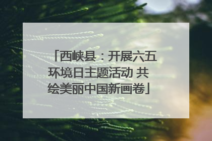 西峡县：开展六五环境日主题活动 共绘美丽中国新画卷