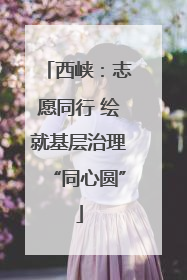 西峡：志愿同行 绘就基层治理“同心圆”