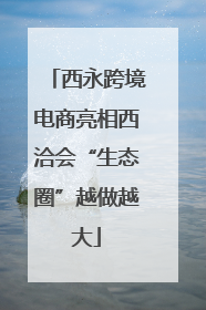 西永跨境电商亮相西洽会“生态圈”越做越大