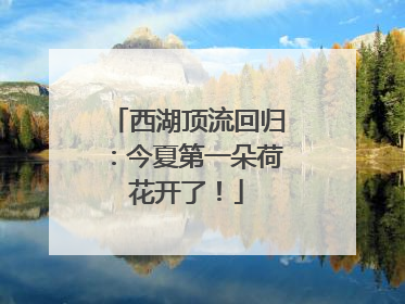 西湖顶流回归：今夏第一朵荷花开了！