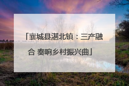 襄城县湛北镇：三产融合 奏响乡村振兴曲