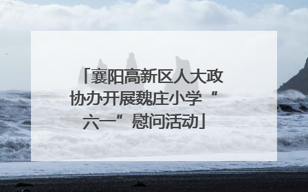 襄阳高新区人大政协办开展魏庄小学“六一”慰问活动