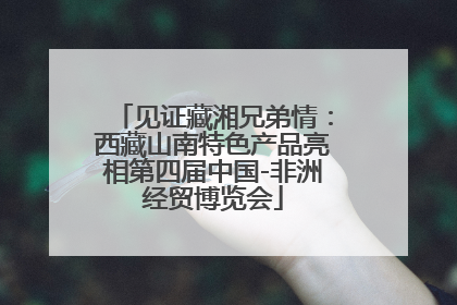 见证藏湘兄弟情：西藏山南特色产品亮相第四届中国-非洲经贸博览会