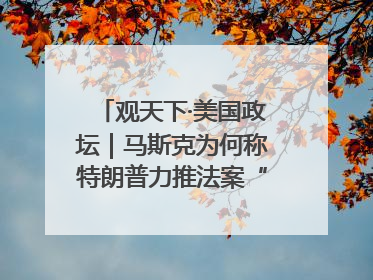 观天下·美国政坛｜马斯克为何称特朗普力推法案“令人作呕”