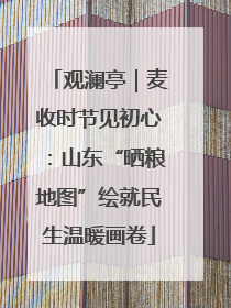 观澜亭｜麦收时节见初心：山东“晒粮地图”绘就民生温暖画卷