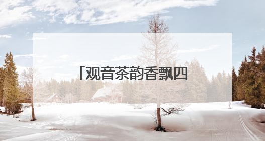 观音茶韵香飘四海——安溪铁观音的产业复兴之路