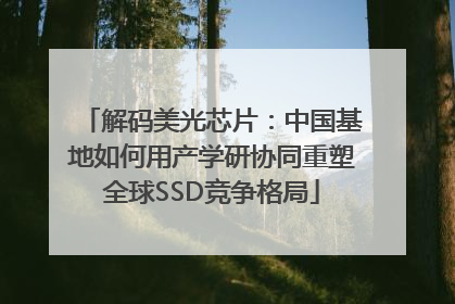 解码美光芯片：中国基地如何用产学研协同重塑全球SSD竞争格局