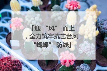 迎 “风” 而上，全力筑牢抗击台风 “蝴蝶” 防线