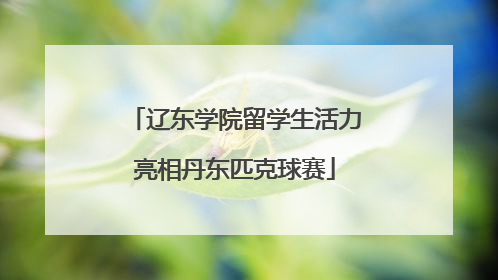 辽东学院留学生活力亮相丹东匹克球赛