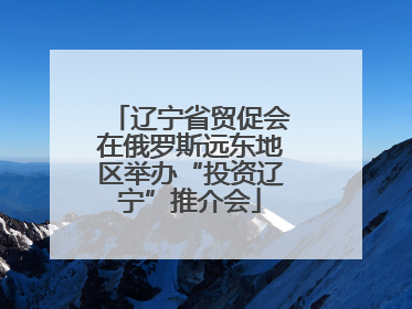 辽宁省贸促会在俄罗斯远东地区举办“投资辽宁”推介会