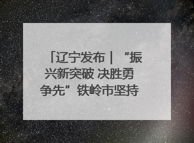 辽宁发布｜“振兴新突破 决胜勇争先”铁岭市坚持“项目为王”推进经济高质量发展