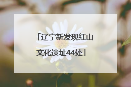 辽宁新发现红山文化遗址44处